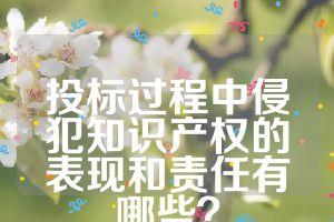 投標(biāo)過程中侵犯知識(shí)產(chǎn)權(quán)的表現(xiàn)和責(zé)任有哪些？