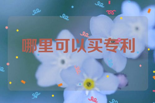 哪里可以買(mǎi)專利  第1張