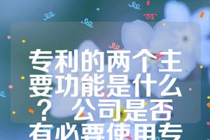 專利的兩個(gè)主要功能是什么？ 公司是否有必要使用專利來建立專利壁壘？