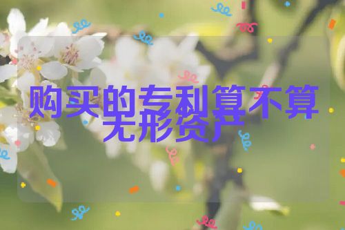 購買的專利算不算無形資產(chǎn)