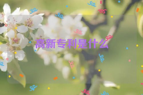 高新專利是什么