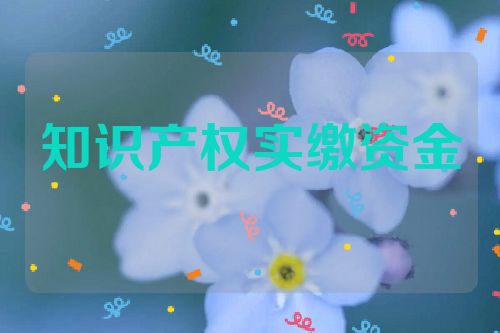 知識(shí)產(chǎn)權(quán)實(shí)繳資金