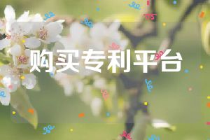 購(gòu)買(mǎi)專(zhuān)利平臺(tái)