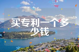 買專利一個(gè)多少錢