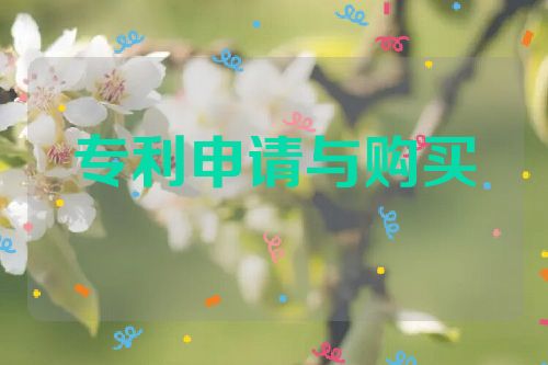 專利申請(qǐng)與購買的利弊分析  第1張