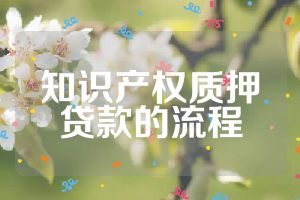 知識(shí)產(chǎn)權(quán)質(zhì)押貸款的流程