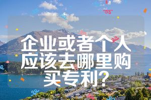 企業(yè)或者個(gè)人應(yīng)該去哪里購(gòu)買專利？