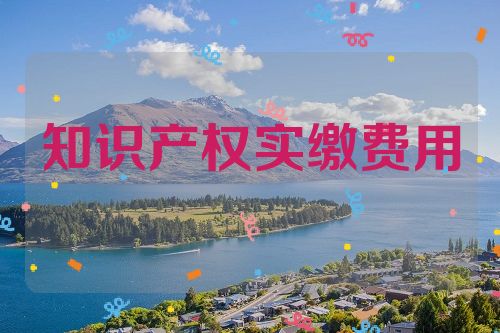 知識(shí)產(chǎn)權(quán)實(shí)繳費(fèi)用
