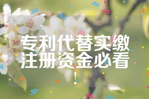 專利代替實繳注冊資金必看!