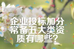企業(yè)投標加分常備五大類資質(zhì)有哪些？