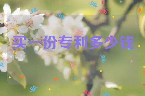 買(mǎi)一份專利最便宜多少錢(qián)  第1張