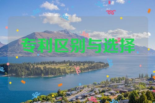 個人專利和公司專利的區(qū)別與選擇  專利申請 投標(biāo)加分 專利好處 專利壁壘 積分落戶 第1張