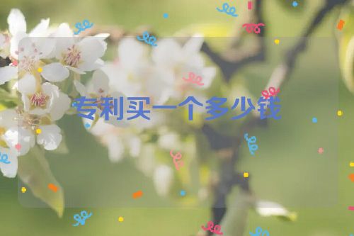 專利買一個多少錢