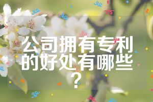 公司擁有專利的好處有哪些？
