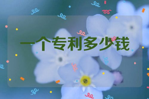 一個(gè)專利多少錢  第1張
