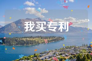 我買(mǎi)專(zhuān)利