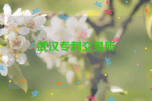 武漢專利交易所